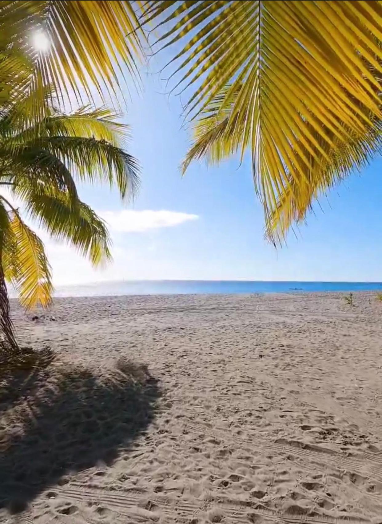 Bas De Villa Vacances Ocean لو كاربيت المظهر الخارجي الصورة