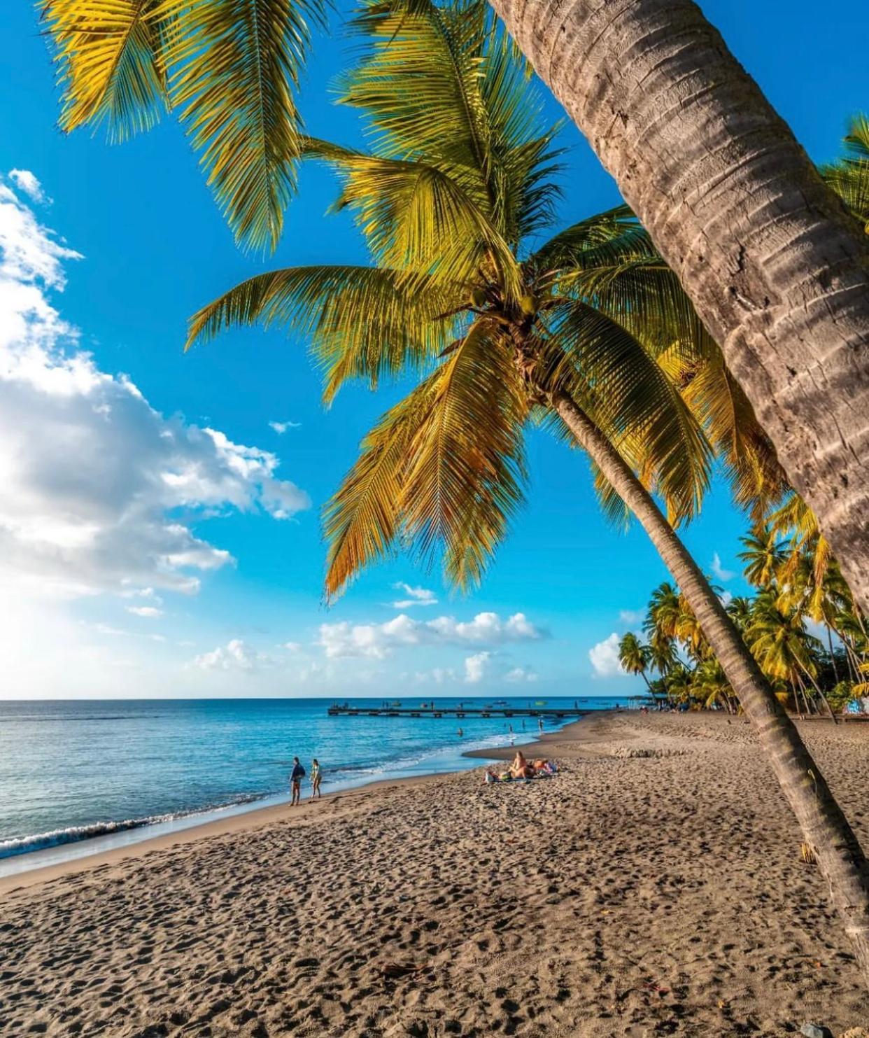 Bas De Villa Vacances Ocean لو كاربيت المظهر الخارجي الصورة